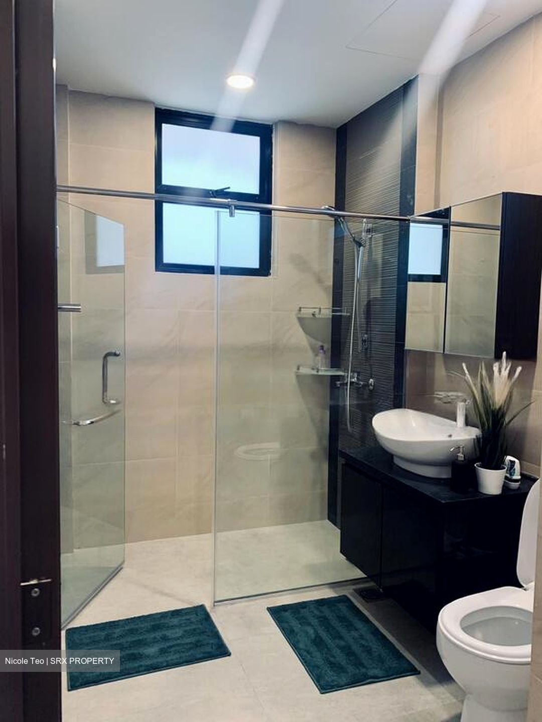 Royale Mansions (D15), Apartment #461095991
